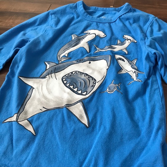 EUC bundle of 2 Gap long sleeved tees for boys - Picture 7 of 7